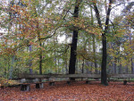 Springendal